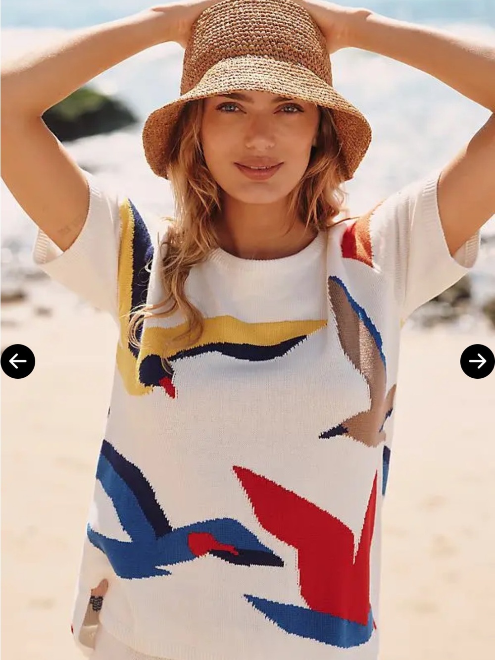 Anthropologie Celandine Seagull sweater